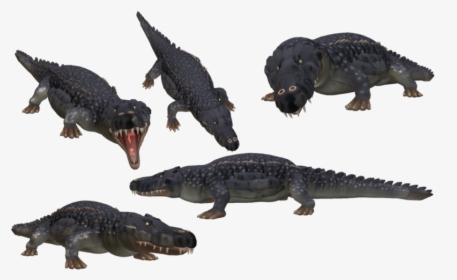 Saltwater Crocodile Png Photo - Spore Crocodile, Transparent Png, Free Download