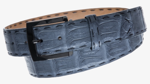 Crocodile Png, Transparent Png, Free Download
