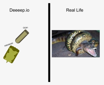 Io Vs Real Life - Get Anaconda In Deeeep Io, HD Png Download, Free Download