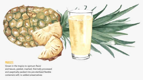 Pisco Punch, HD Png Download, Free Download