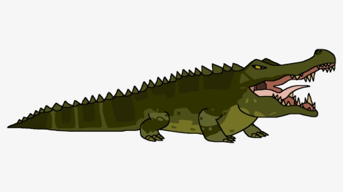 American Alligator - Cartoon, HD Png Download, Free Download