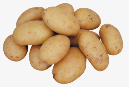 Best Free Potato Png Icon, Transparent Png, Free Download