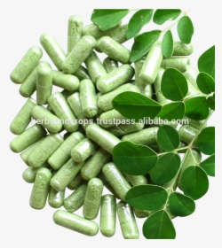 Moringa Capsules In Bottle Pack - Pill Transparent Background Capsule Png, Png Download, Free Download