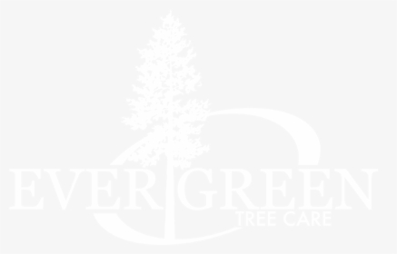 Evergreen Tree Carew - Leinster Rugby Logo White, HD Png Download, Free Download