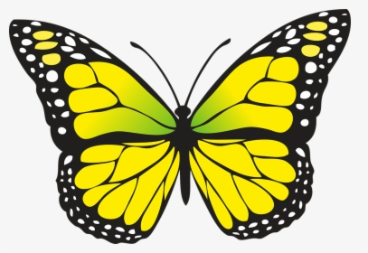 7 Photo - Yellow Butterfly Clipart, HD Png Download, Free Download