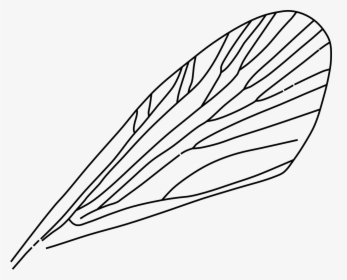 Insect Wings Clipart, HD Png Download, Free Download