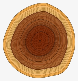 Tree Rings Png - Circle, Transparent Png, Free Download