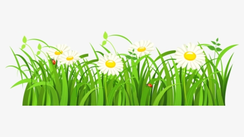 Grass Vector Png Image - Green Grass Vector Png, Transparent Png, Free Download