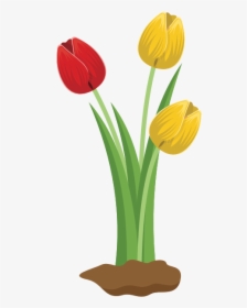 Tulips - Big Flowers Clip Art, HD Png Download, Free Download