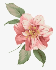 Flower Bucket Png - Pink Flower Watercolor Png, Transparent Png, Free Download