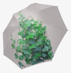 Vines, Climbing Plant Foldable Umbrella - Umbrella, HD Png Download, Free Download