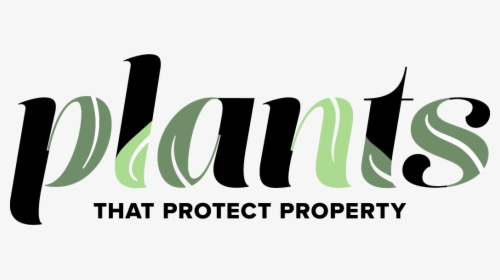 Plants That Protect Property - Graphic Design, HD Png Download, Free Download