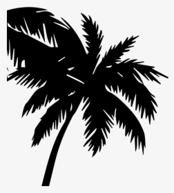Transparent Palm Tree Logo, HD Png Download, Free Download