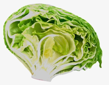 Fresh Salad Clipart - Iceburg Lettuce, HD Png Download, Free Download