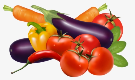 Vegetables Vector Free, HD Png Download, Free Download