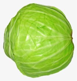 Green Vegetables Png - Transparent Background Transparent Cabbage, Png Download, Free Download