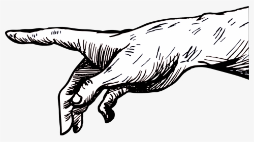Hand, HD Png Download, Free Download