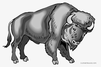 Water Buffalo Clip Art Portable Network Graphics Image - Clipart Buffalo Transparent Background, HD Png Download, Free Download