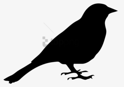 Free Png Download Silhouette Of Pigeon Png Images Background - Black And White Bird Png, Transparent Png, Free Download
