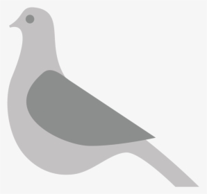 The Mooch Pigeon - Stock Dove, HD Png Download, Free Download