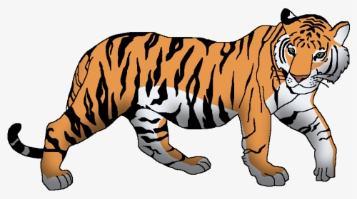 Wildlife Animal Pedia Wiki - Tiger Clipart, HD Png Download, Free Download