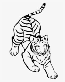 Tiger Png Clipart Png - Tiger Line Drawing Png, Transparent Png, Free Download