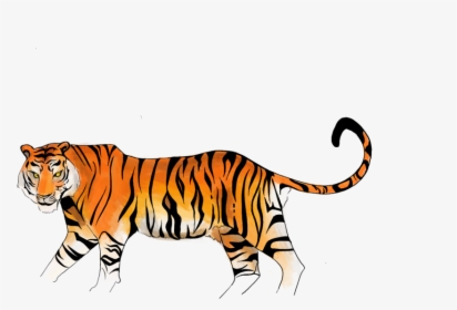 Tiger - Siberian Tiger, HD Png Download, Free Download