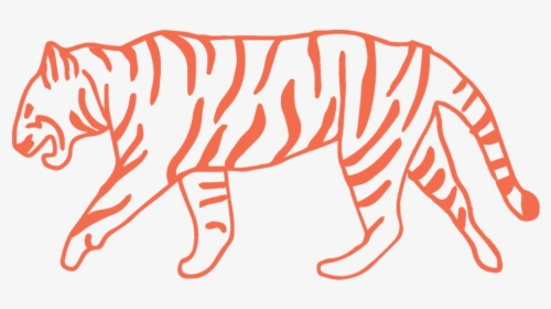 Tiger, HD Png Download, Free Download