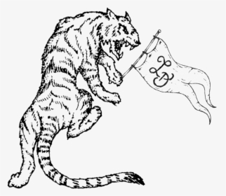 Tiger - Illustration, HD Png Download, Free Download