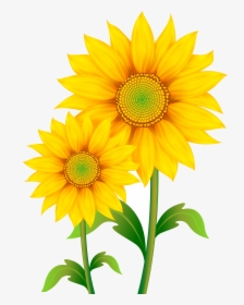 Transparent Background Sunflower Clipart, HD Png Download, Free Download