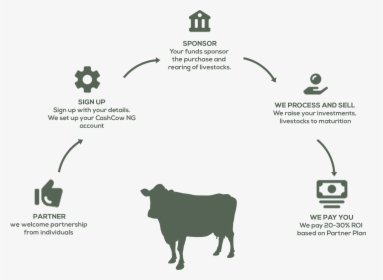 Transparent Cash Cow Png - Dairy Cow, Png Download, Free Download
