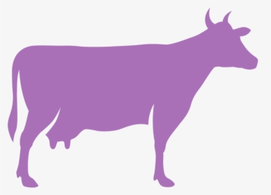 Cow - World Animal Protection Contact, HD Png Download, Free Download