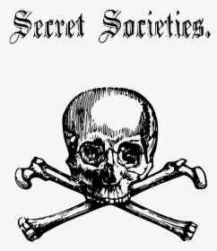 Scary Skull And Cross Bones Vector Line Art Image - Secret Society Skull And Cross Bones, HD Png Download, Free Download