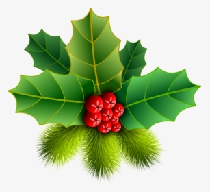 Christmas Holly Pinheiro Image - Png Holly, Transparent Png, Free Download