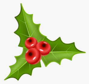 Three Holly Leaves With Three Crones Vector Illustration - Holly Berries Clipart Png, Transparent Png, Free Download