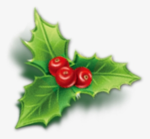 Holly Aquifoliales Christmas Mistletoe Icon - Mistletoe Icon, HD Png Download, Free Download