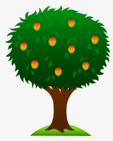 Mango Tree Clip Art, HD Png Download, Free Download