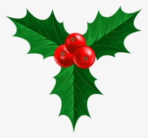 Pictures Of Christmas Holly - Transparent Christmas Holly Png, Png Download, Free Download