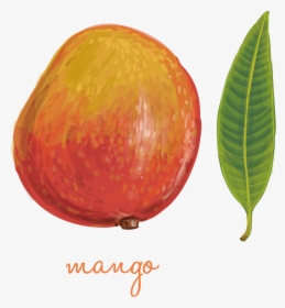 Juicy Mango Png Download - Chef, Transparent Png, Free Download