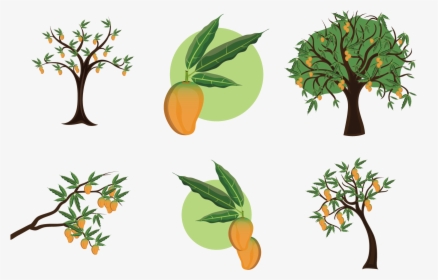 Mangifera Indica Mango Tree Clip Art - Symbols For Mango Trees, HD Png Download, Free Download