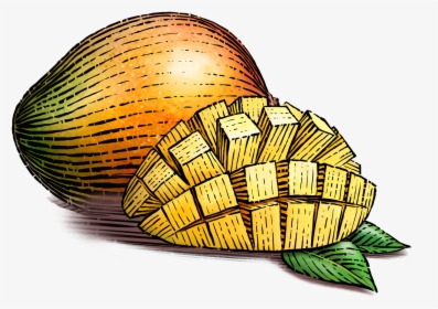Nutrition Facts - Illustration Of Mangoes In Basket, HD Png Download, Free Download