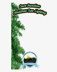 Come Join Us November 25, 5 Pm, For The Annual Lighting - Shortleaf Black Spruce, HD Png Download, Free Download