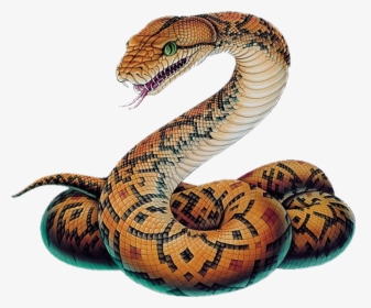 Python Snake Drawing, HD Png Download, Free Download