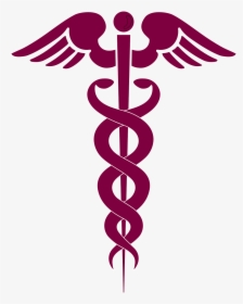Physician Assistant Clip Art, HD Png Download, Free Download