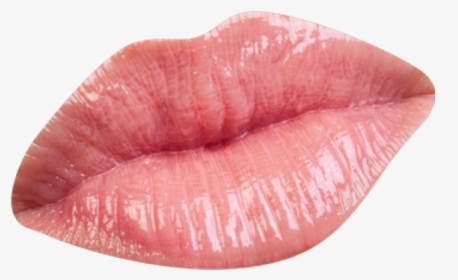 Male Lips Png, Transparent Png, Free Download