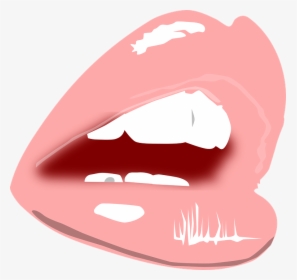 Lips Clipart Kiss The Cook - Transparent Lip Drawing Png, Png Download, Free Download