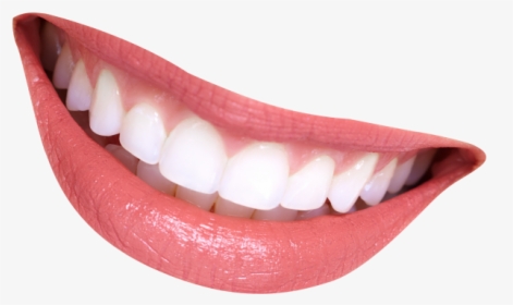 Smile Mouth Png, Transparent Png, Free Download