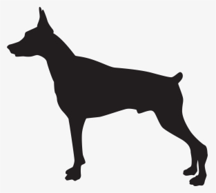 Dobermann Rottweiler German Shepherd Pit Bull German, HD Png Download, Free Download