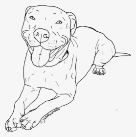 Transparent Pitbull Clipart - Pitbull Coloring Pages, HD Png Download, Free Download
