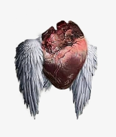 Heartless Editing Png Download For Picsart And Photoshop - Heart Png For Editing, Transparent Png, Free Download